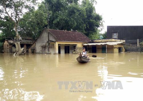 Bình Định vẫn tiếp tục ngập lụt sâu ảnh 1
